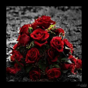 Rosen Ozzy Osbourne Tribut