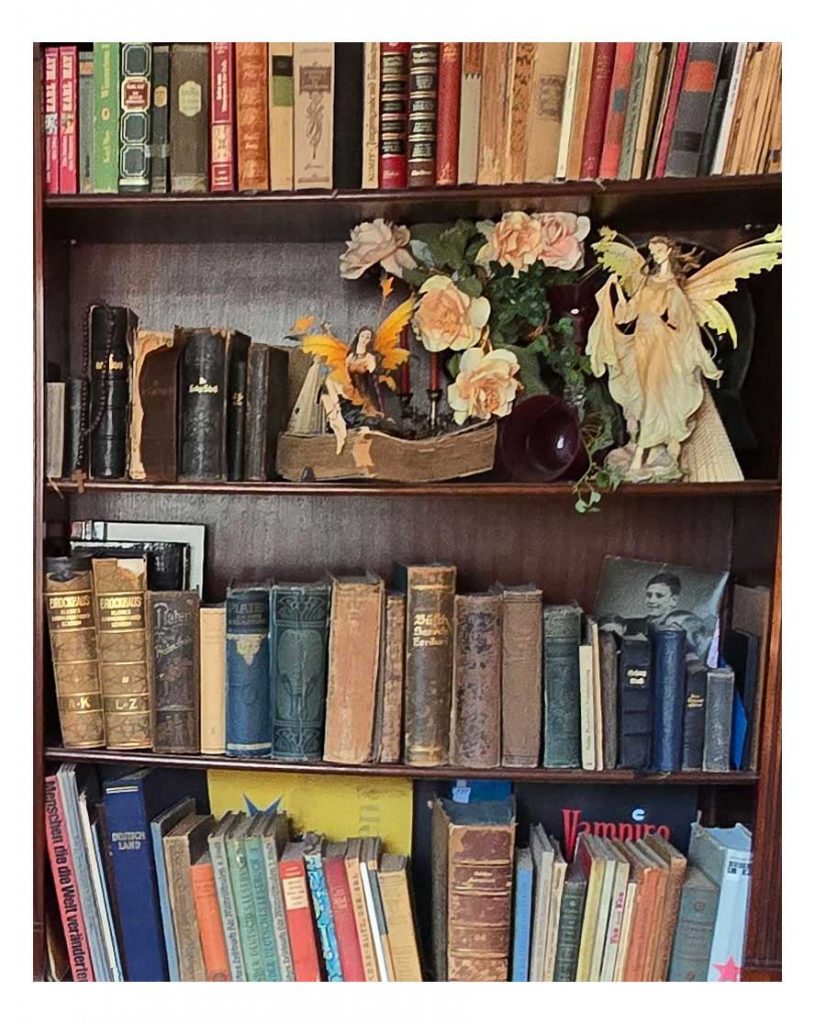 Bücherregal antke Bücher